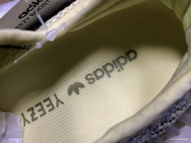 Yeezy V2 350 Adidas FV3250 Boost Antlia 0818
